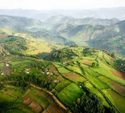 Foto aérea del Sanctuary Gorilla Forest Camp en Uganda