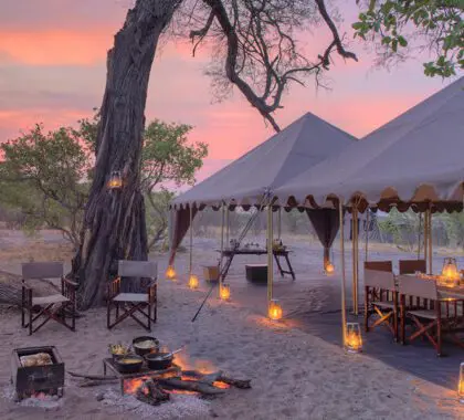 Cena en Savute Under Canvas. 