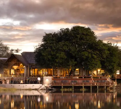 Exterior de Simbavati Waterside.