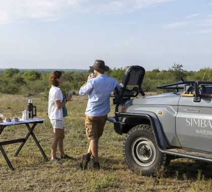 Parada para beber durante un safari.