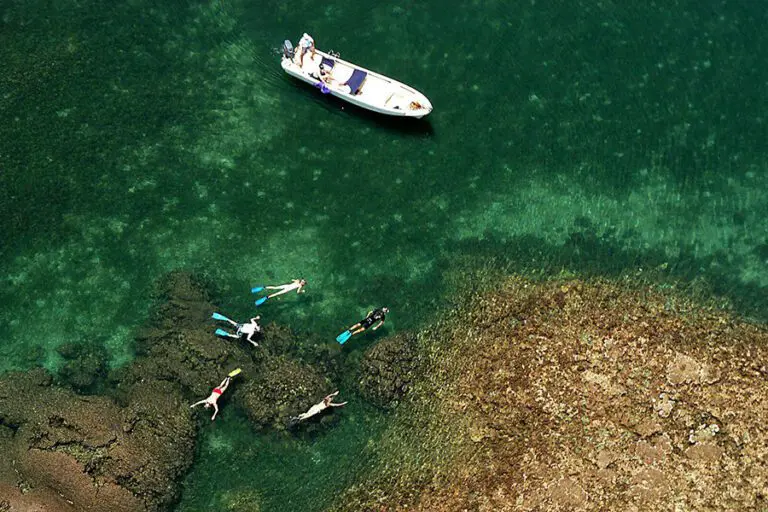 Snorkelling at Manda Bay Lodge.