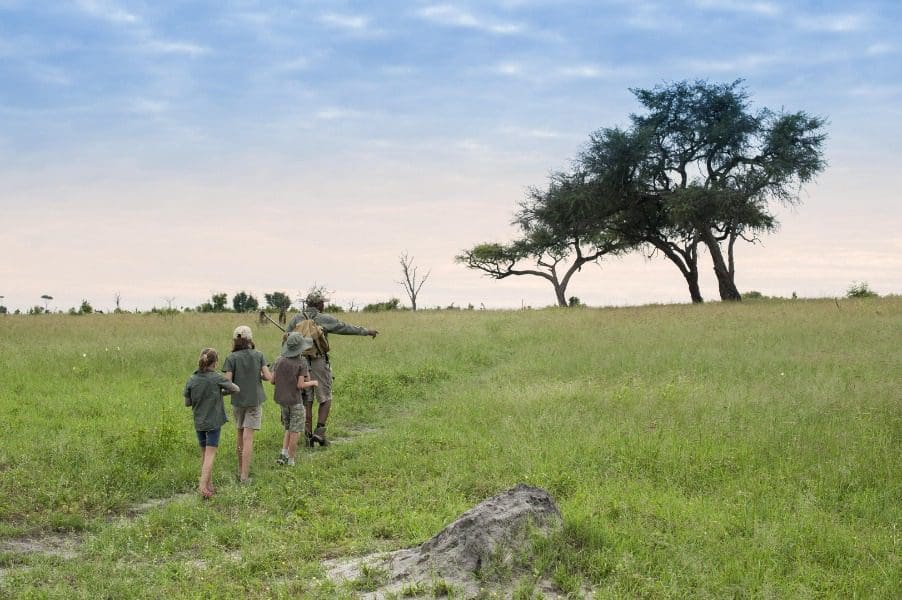 Safaris a pie en Somalisa Acacia, Zimbabue | Go2Africa