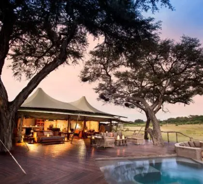 Alojamiento de lujo en Somalisa Acacia, Zimbabue | Go2Africa