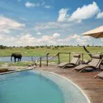 Somalisa swimming pool.