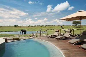 Somalisa swimming pool.