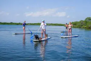 Stand Up Paddle Boarding at Manda Bay Lodge. 