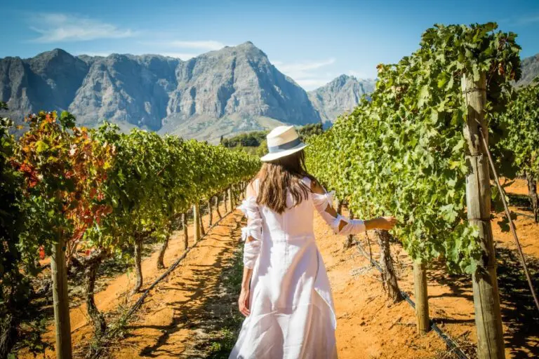 Paseando por los viñedos de Cape Winelands, Sudáfrica | Go2Africa