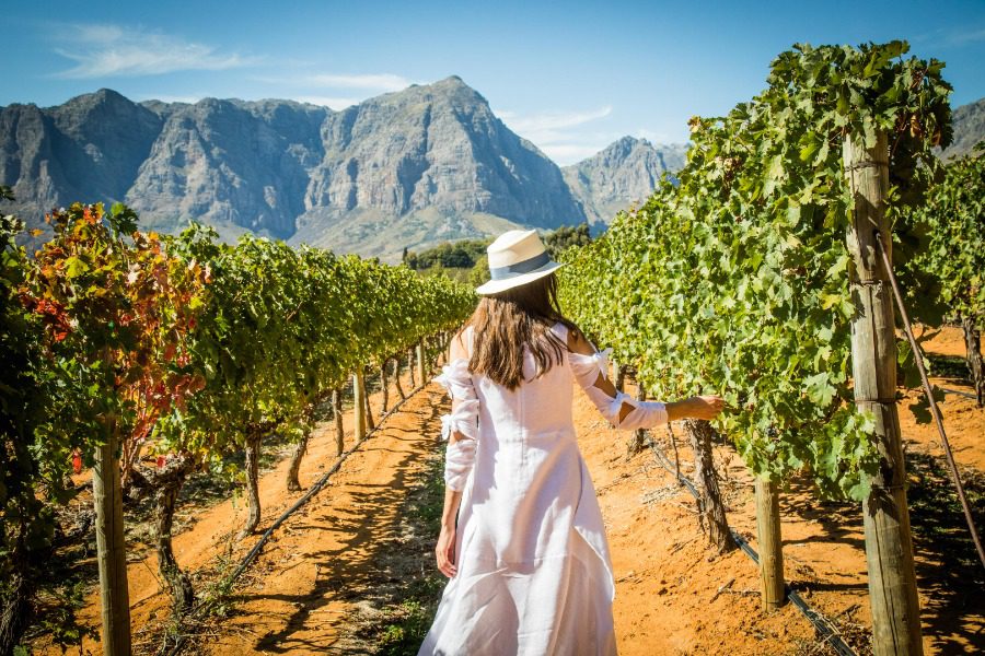 Walking in the vineyards of the Cape Winelands, South Africa | Go2Africa