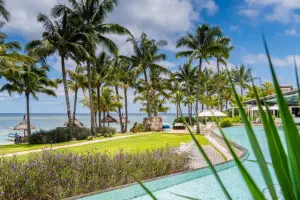 Mauritius - a palm-lined, postcard-perfect beach holiday destination.