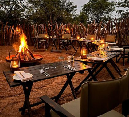 Simbavati Waterside | Kruger Private Reserves, South Africa _boma4