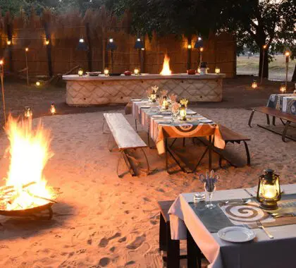 Disfrute de suntuosas comidas junto al fuego en el Boma, un punto culminante del safari. 