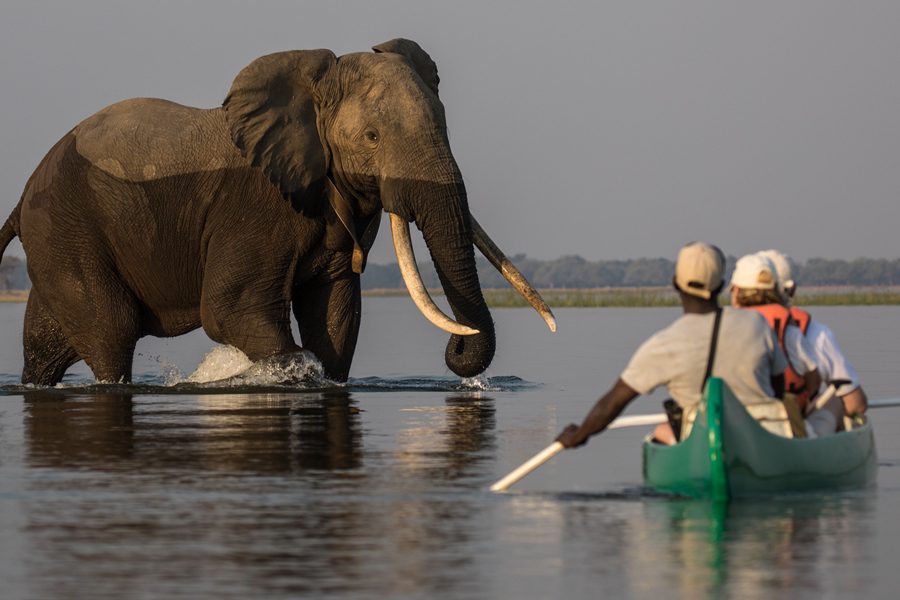 Canoe safari in Mana Pools, Zimbabwe | Go2Africa