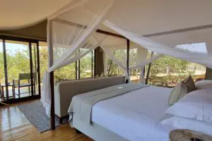 Cama con vistas.