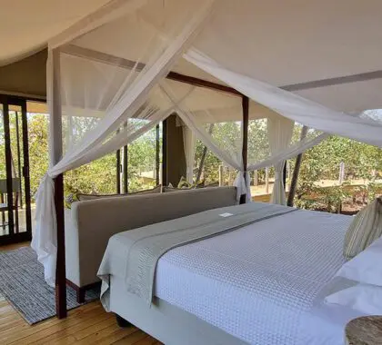 Cama con vistas.