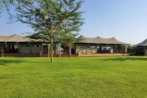 La isla Fothergill es un campamento bajo la lona.