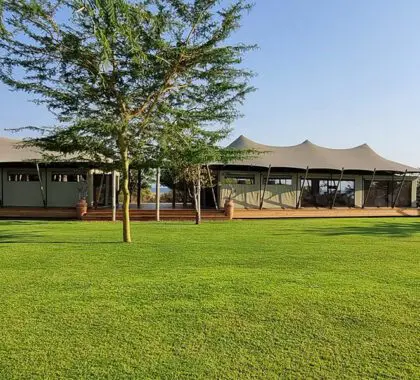 La isla Fothergill es un campamento bajo la lona.