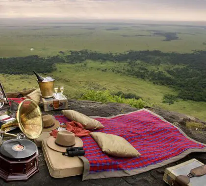 Un picnic al estilo "Memorias de África" en Kenia crea un entorno romántico para una ocasión especial.