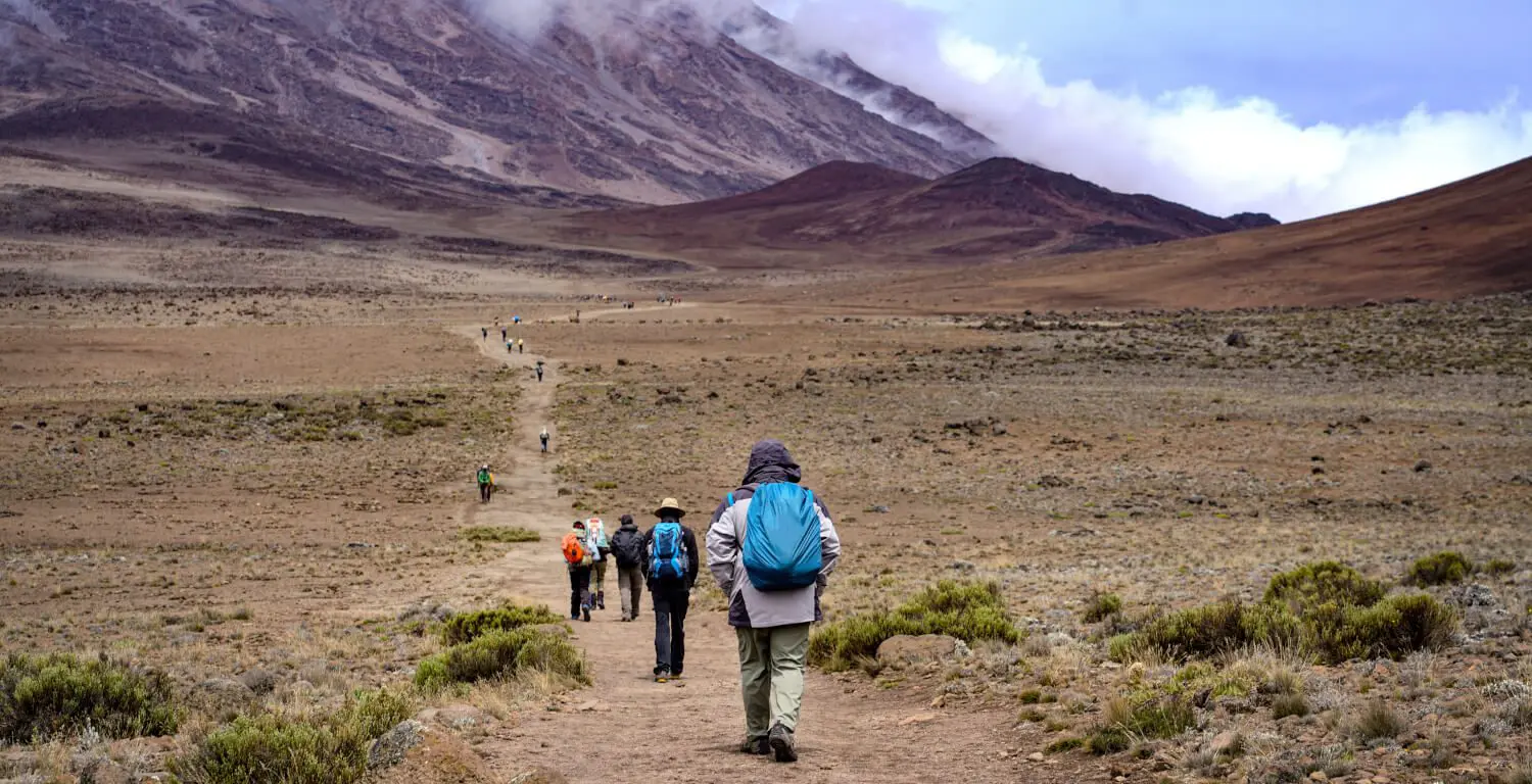 Contenido de Travelife