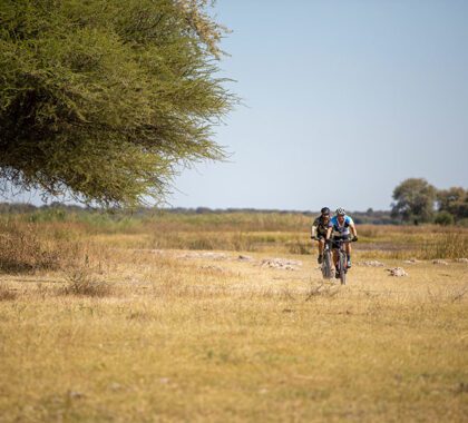 Cycling-Safari, Okavango Delta