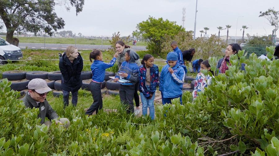Aprendizaje sobre los fynbos en la escuela primaria Highlands de Ciudad del Cabo (Sudáfrica) | Go2Africa