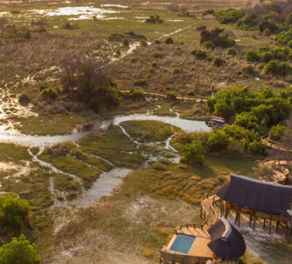 Explore the Okavango Delta’s winding, reed-lined channels and thick riverine forests.