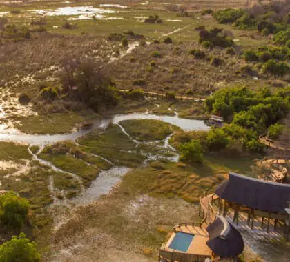 Explore los sinuosos canales bordeados de juncos y los espesos bosques ribereños del delta del Okavango.