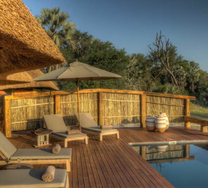 Camp Okavango swimming pool lined with comfortable loungers.