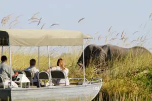 Water safari.