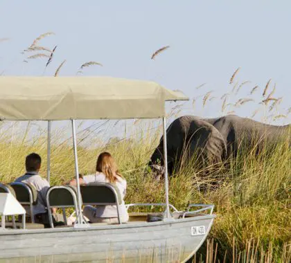 Safari acuático.