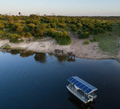 Boat safari on the Chobe River.
