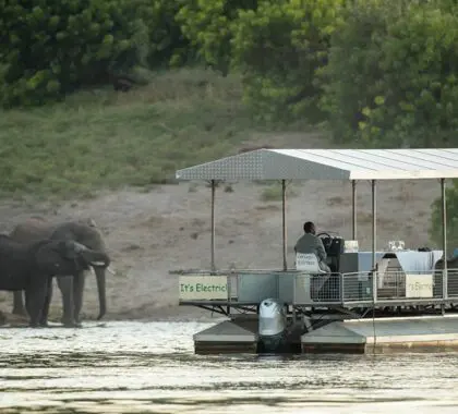 Chobe-Game-Lodge-River-Safari-65