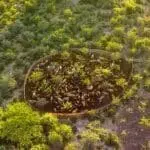 Explore the Delta landscape.