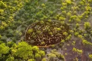 Explore the Delta landscape.