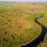 Water- and land-based activities in the Okavanago Delta.