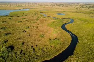 Water- and land-based activities in the Okavanago Delta.