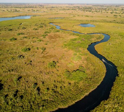Water- and land-based activities in the Okavanago Delta.