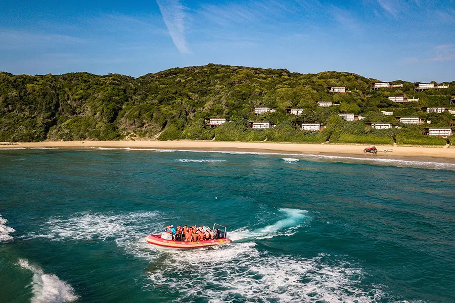 Ocean safari off the shore of Maputo, Mozambique.