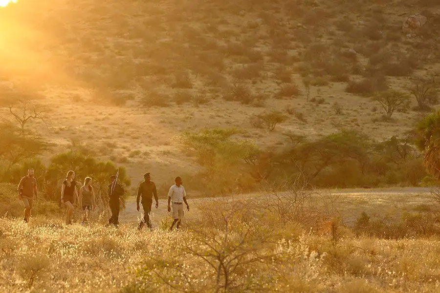 Rhino tracking with Saruni Rhino guides in Kenya.