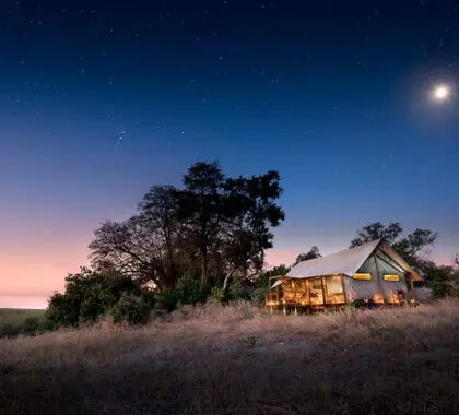 The exterior of your tent at Linyanti Bush Camp in Botswana.