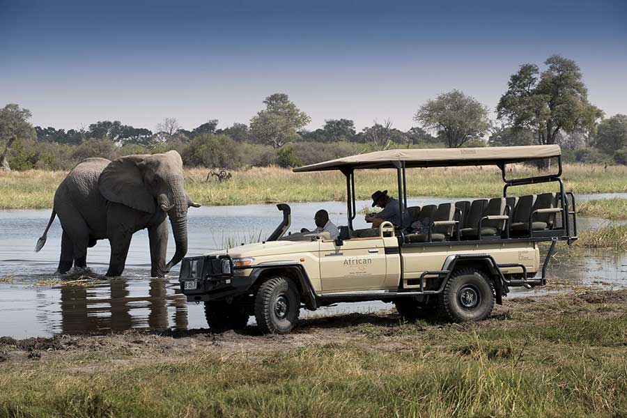 Traditional game drives through the Moremi Game Reserve in Botswana