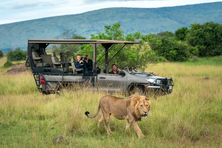 Lion sighting with Magashi Camp in Akagera National Park, Rwanda | Go2Africa