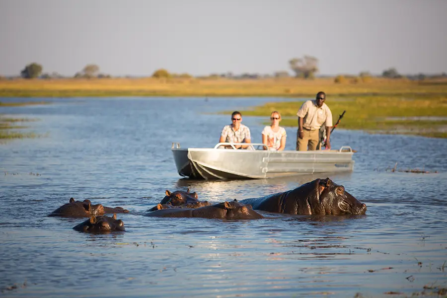 Ippopotami avvistati in acqua durante un safari in barca nel Parco nazionale di Kafue, Zambia.