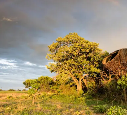 Banner-Chisa Busanga Camp