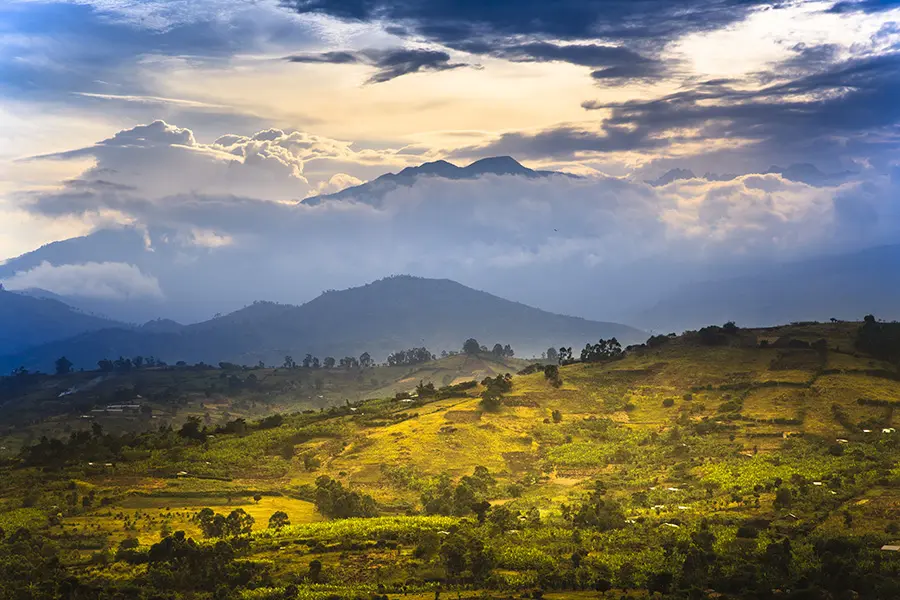 Paisaje de las montañas Rwenzori en el Parque Nacional de las Montañas Rwenzori, Uganda.
