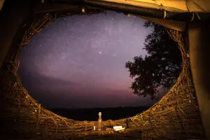 Contemple las estrellas desde su nido en el campamento Chisa Busanga.