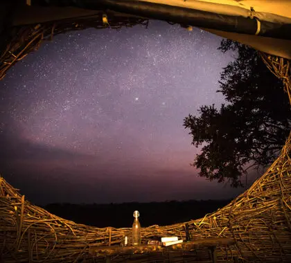 Stargaze from your nest at Chisa Busanga Camp