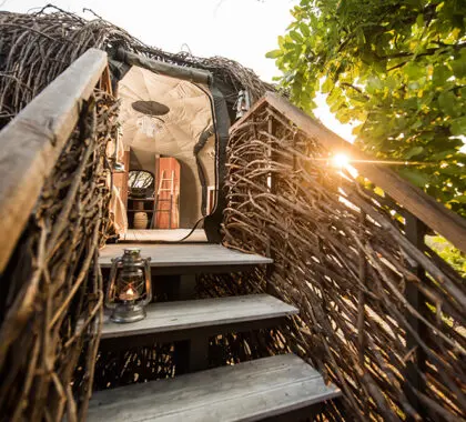 Entrance to The Nest.
