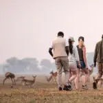 Safaris a pie por las llanuras de Busanga, en el Parque Nacional de Kafue (Zambia) .