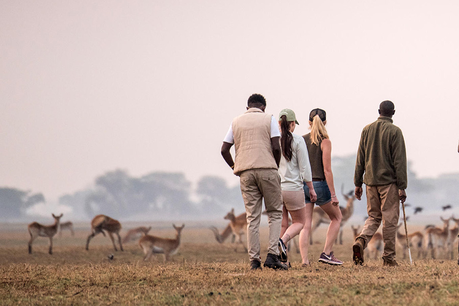 Walking-Safaris at Chisa Busanga Camp
