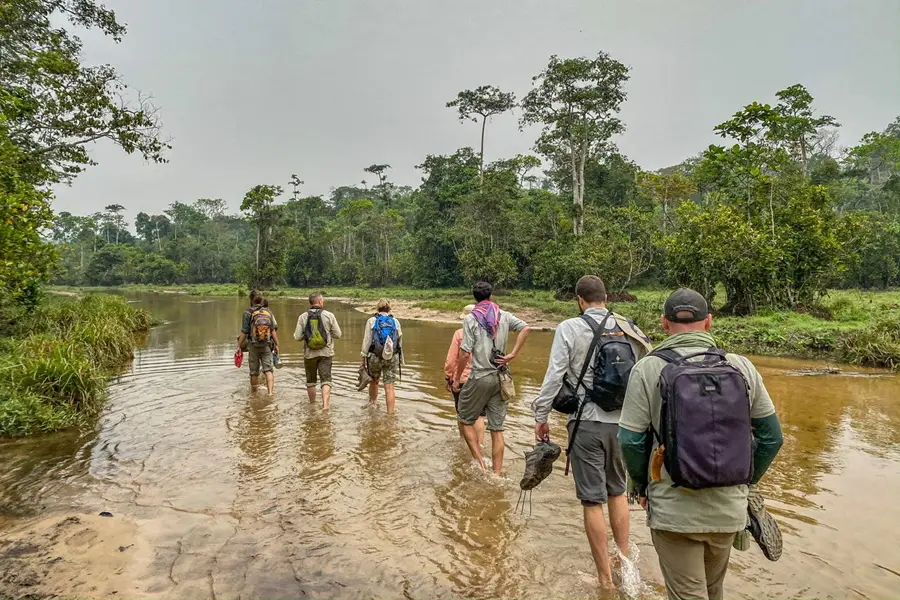 Walking safari in Odzala-Kokoua National Park, Congo | Go2Africa